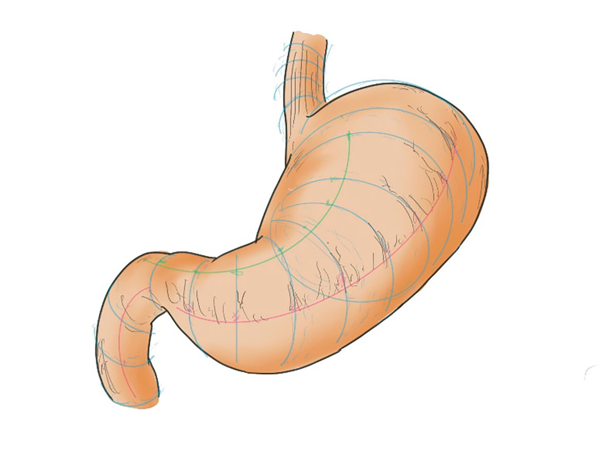 ハンズオンセミナー
